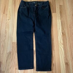 Lane Bryant Jeans Womens 16 Blue High Rise Straight Dark Wash Casual